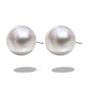 White Pearls Studs 6mm*