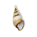 Golden SeaShell Pendant